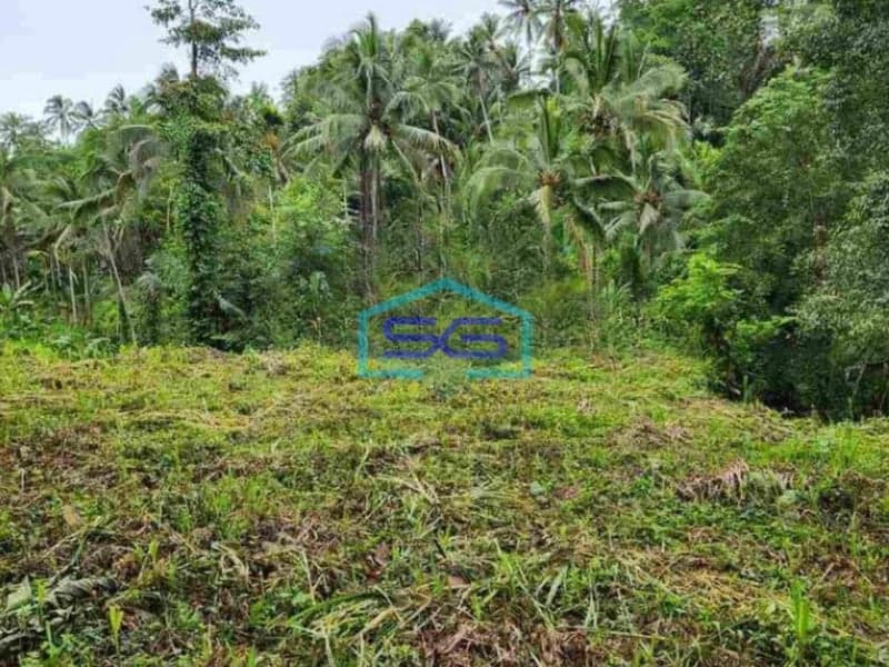 Dijual Murah Tanah di Ubud Bali LT 6400m2