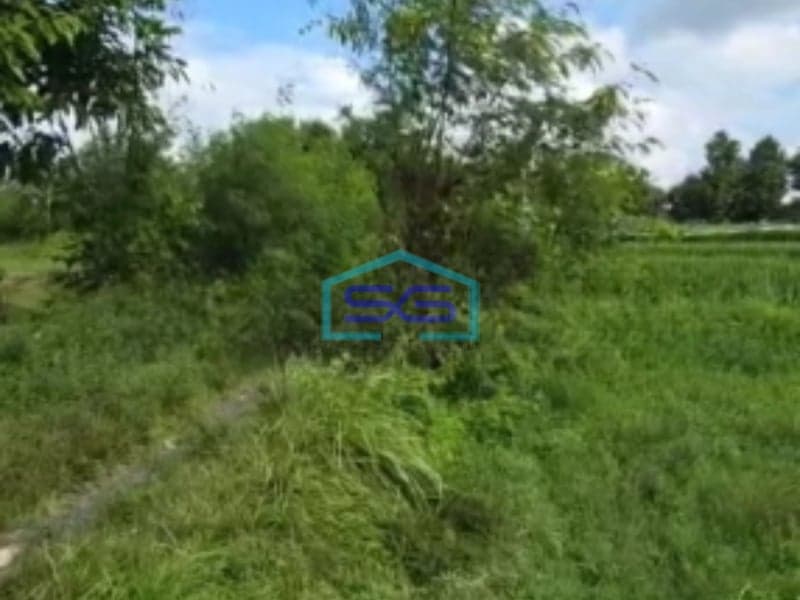 Dijual Tanah Bebas Banjir Luas Tanah 1570m2 di Daerah Gianyar Bali