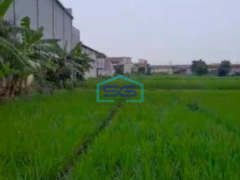 Dijual Tanah Siap Bangun Di Serang Banten Luas Tanah  80000 m²