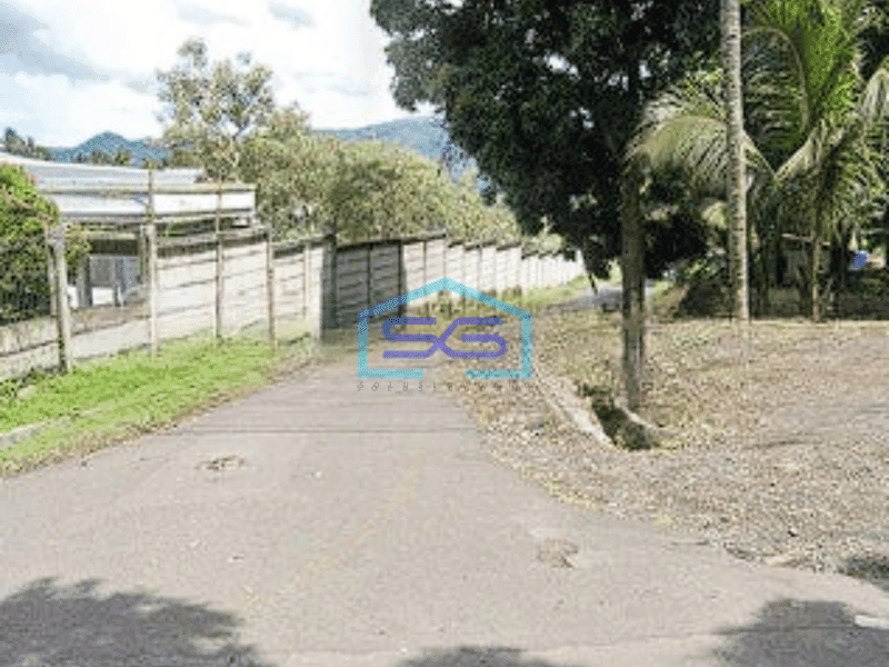 Dijual Tanah 5000m2 Samping Gudang Alfamart Cocok Buat Gudang Ekspedisi Minahasa