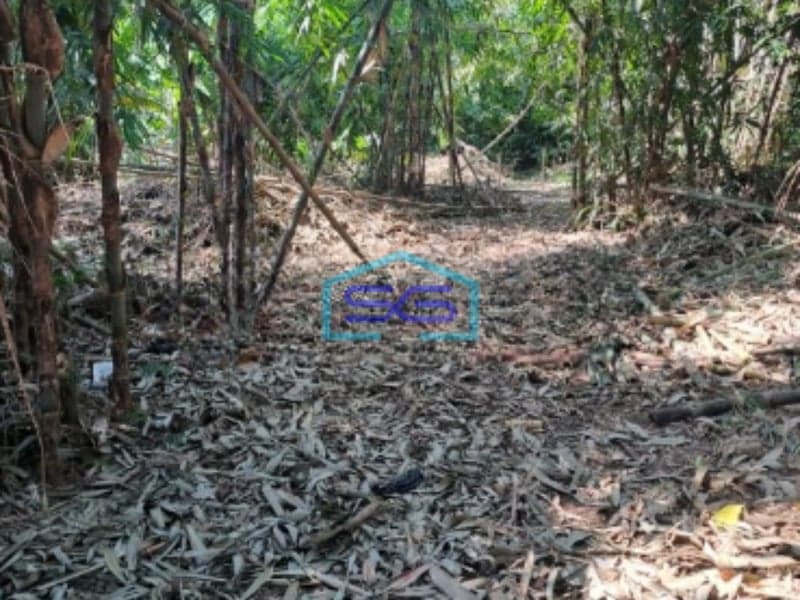 Dijual Tanah Di Rumpin Bogor Luas Tanah 1800m2