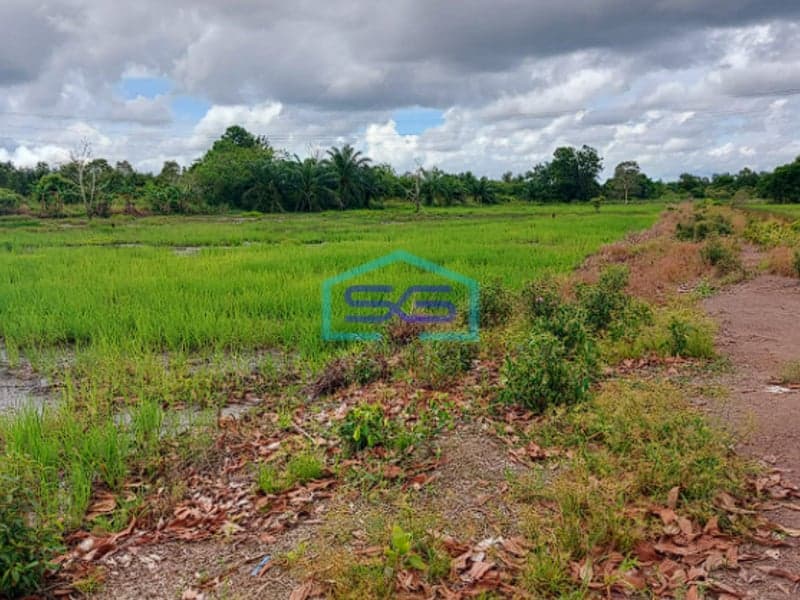 Dijual Tanah Luas 4 Hektar di Lokasi Strategis Karang Anyar, Jalan Tanjung Api Api KM 43 Banyuasin