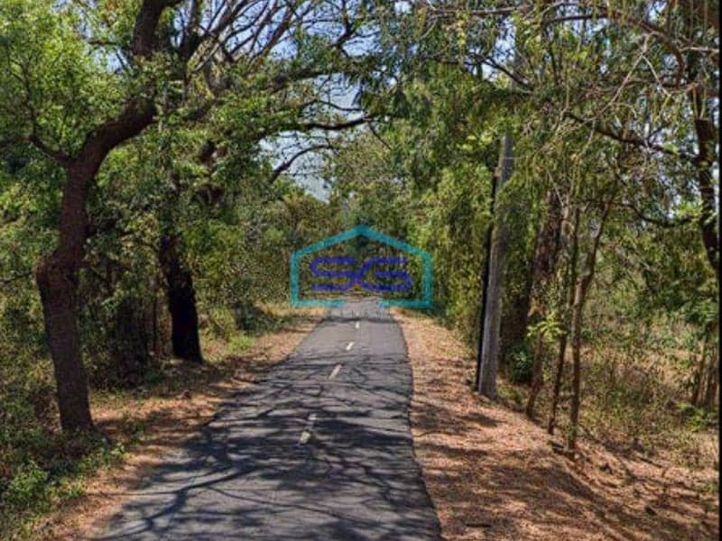 Dijual Tanah Buleleng Bali Luas Tanah 92500m2 Jual Cepat Shgb