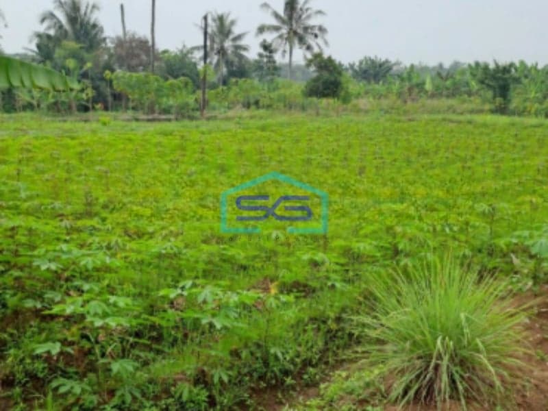 Dijual Tanah Lokasi di Pinggir Jalan Raya Ciseeng Bogor Luas Tanah 2000m2