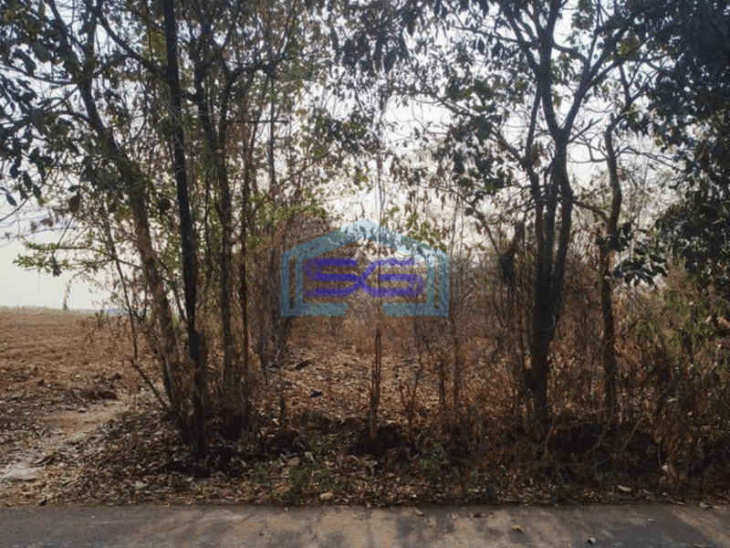 Dijual Tanah Untuk Gudang di Pasir Kembang Maja Lebak