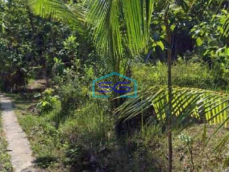 Dijual Tanah Pekarangan Lokasi Pengasih Yogyakarta Luas Tanah 50000m2