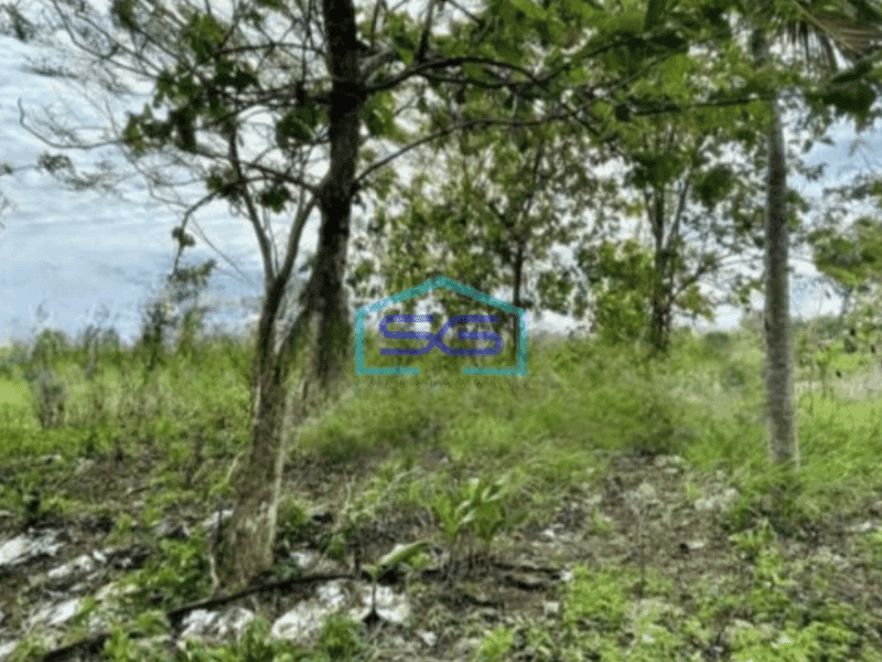 Dijual tanah lahan industri lokasi sumberlawang sragen luas 30.750m