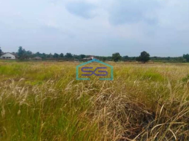 Dijual Cepat Tanah Di Bantar Panjang Tigaraksa Tangerang Luas 1256m2