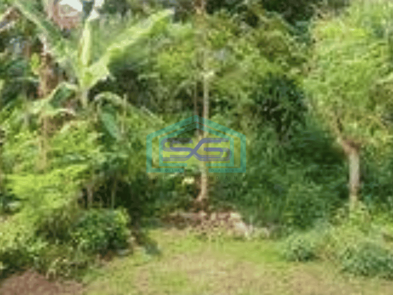 Dijual Kavling Murah Sekali di Awiligar Cigadung