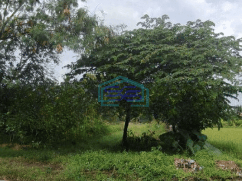 Dijual Tanah Luas 2750 m²  di Ngaglik Sleman Yogyakarta