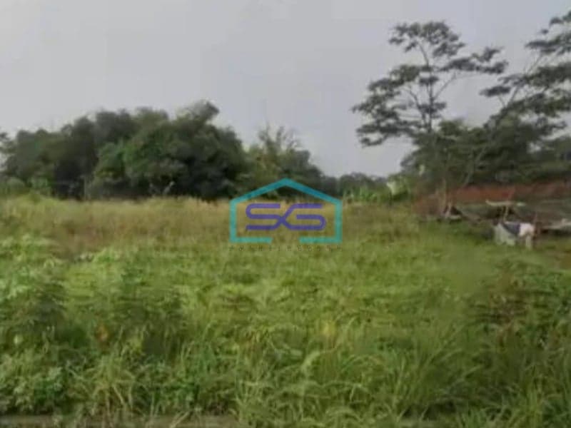 Disewakan Tanah di Pinggir Jalan Provinsi Bogor