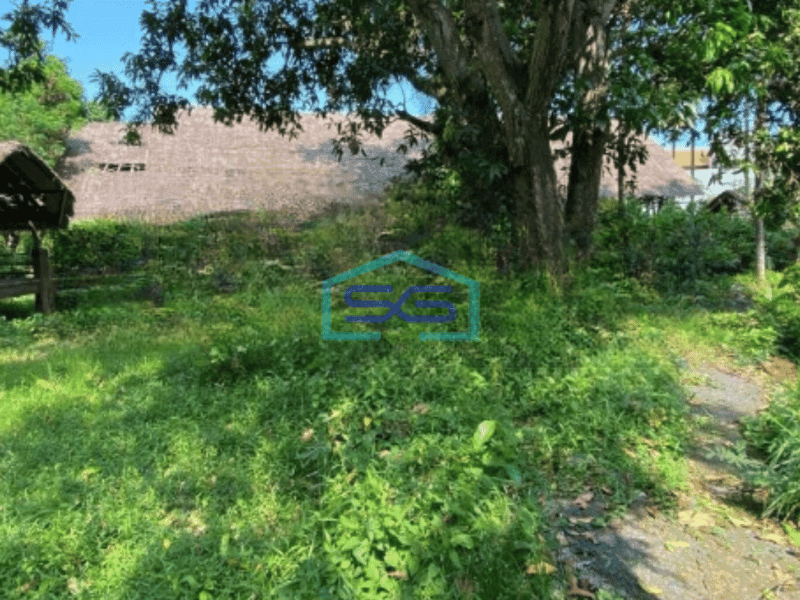 Dijual Tanah Luas 2500 m² di Ubud Gianyar Bali