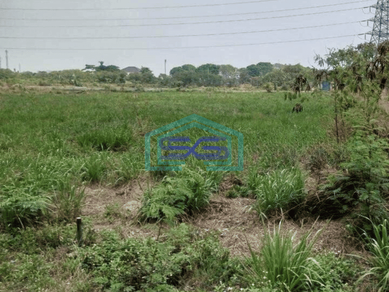 Dijual Cepat Tanah Untuk Gudang di Dadap Tangerang