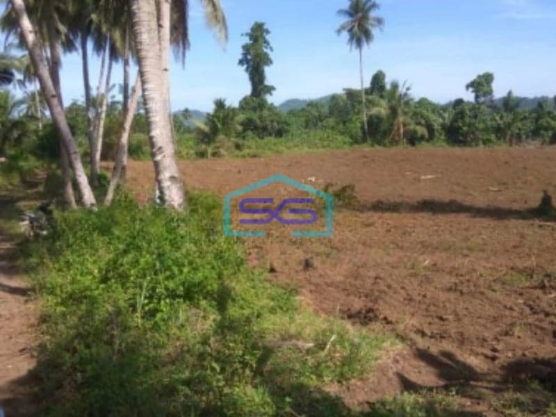 Dijual Tanah 16hektar Di Wusa Dekat Bandara Samrat Minahasa Utara Luas Tanah (PxL)  160000 m²