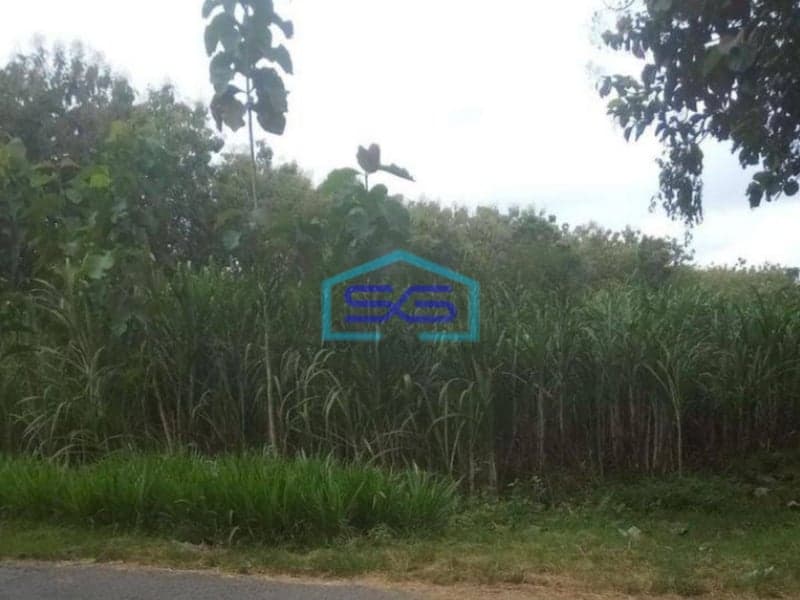 Dijual Tanah Di Sragen Dengan Zona industri LT 86000m2