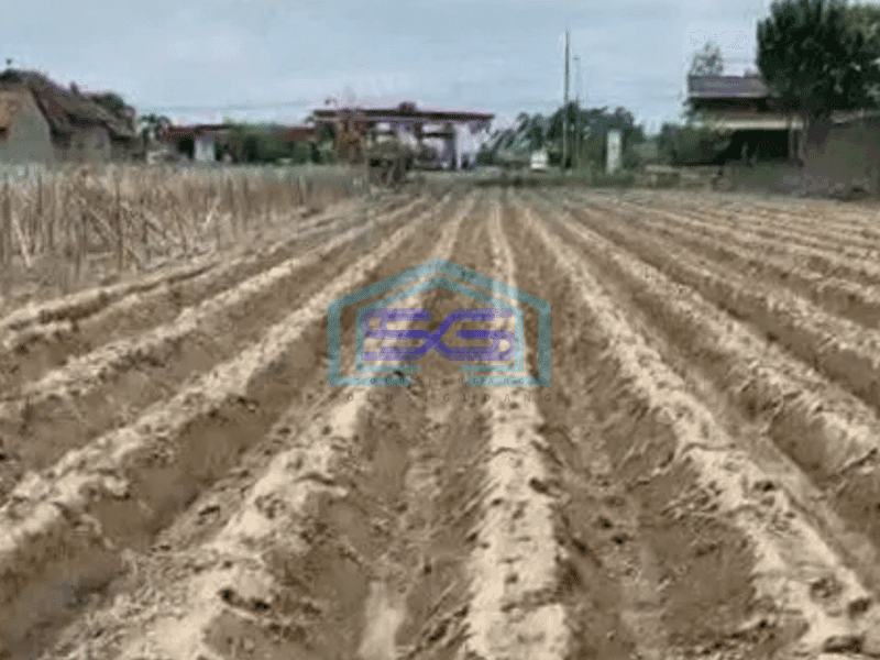 Dijual tanah murah nol jalan di kediri