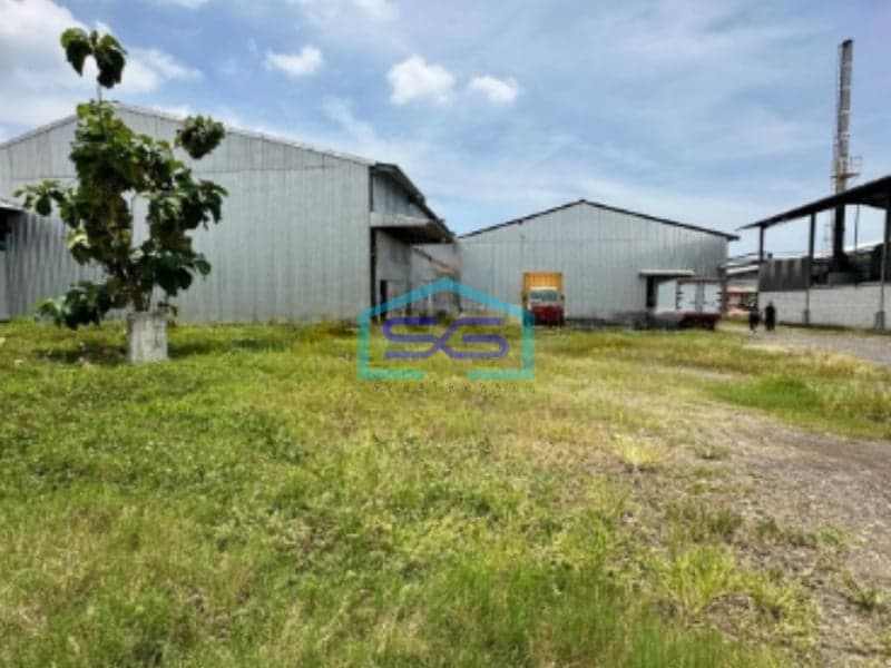 Disewakan Gudang Siap Pakai Di Kawasan Industri di Tugu Semarang Luas Tanah 10096m2