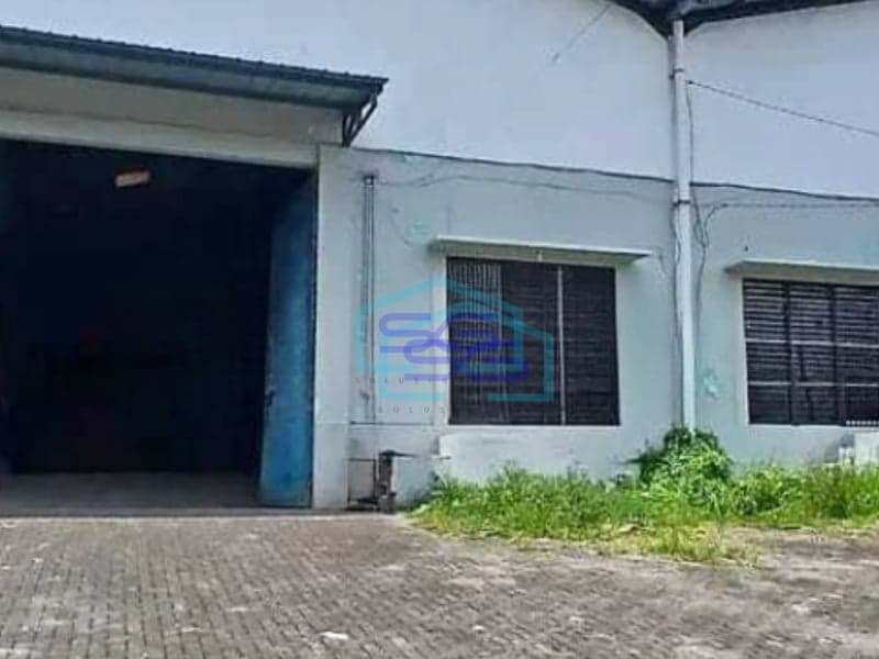 Disewakan Gudang Dekat Ring Road 1 Tikela Cocok Buat Ekspedisi Cargo Tikala, Manado Luas Bangunan  420 m²