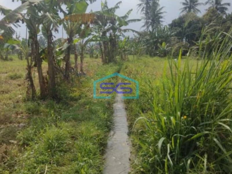 Dijual Tanah di Jalan Raya Cigombong Bogor Luas Tanah 45000m2