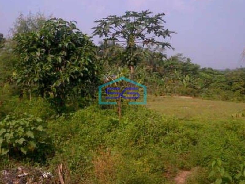 Dijual Tanah Maja Lebak Luas 75000m2