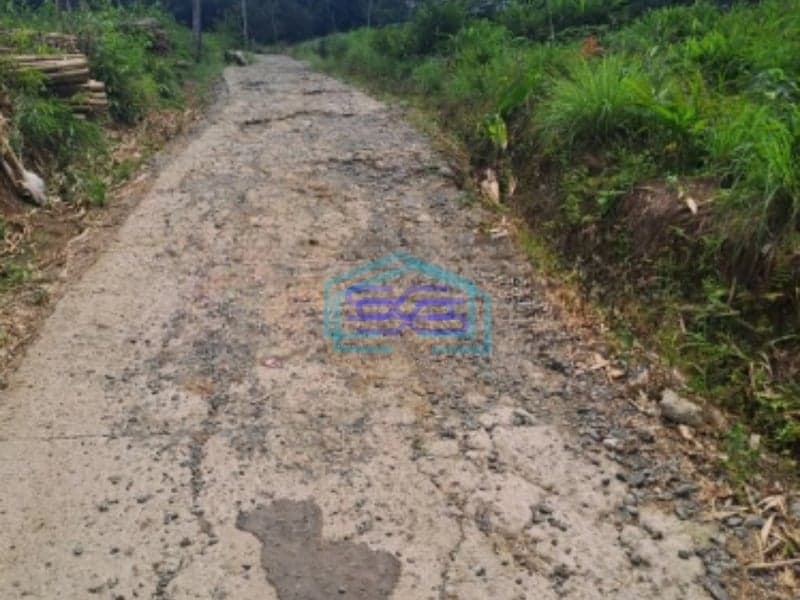 Dijual Tanah Di Daerah Rumpin Bogor Luas Tanah 10000m2