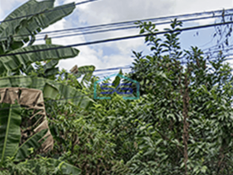 Dijual Tanah di Sukamaju KM 7 Palembang Luas Tanah 1541m2