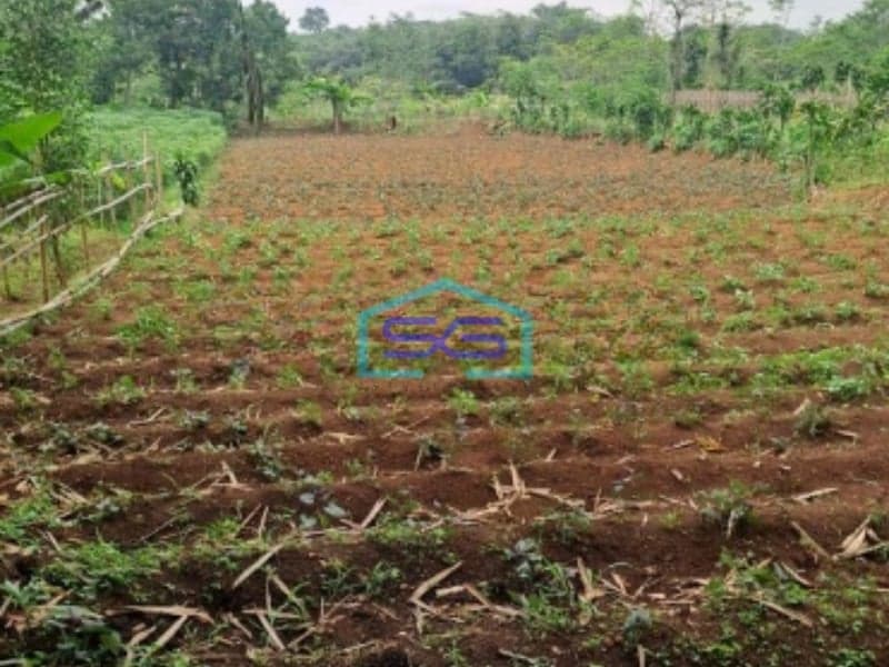 Dijual Tanah Di Ciseeng Bogor Luas Tanah 1000m2