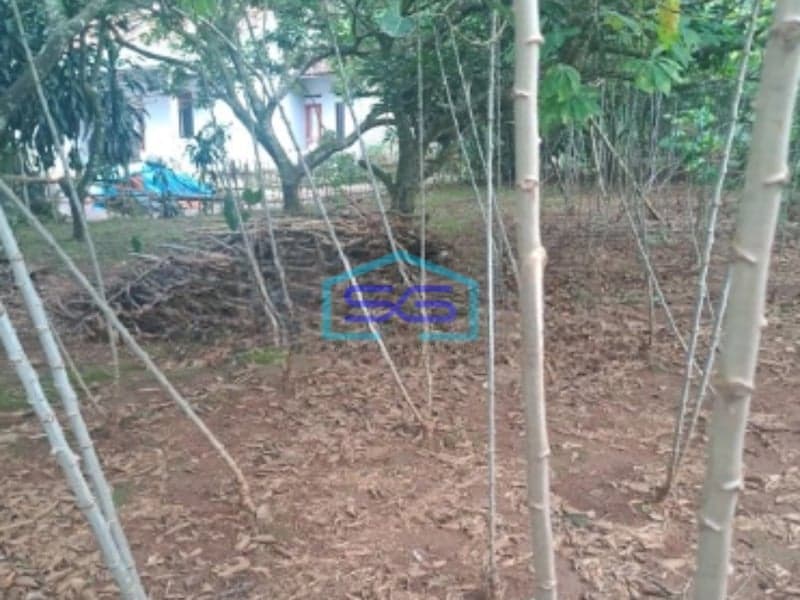 Dijual Tanah di Cibeteng Udik Ciseeng Bogor Luas Tanah 2000m2