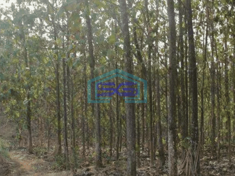 Dijual Tanah murah di Gondangrejo, karanganyar