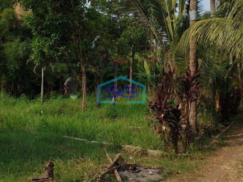 Dijual Tanah di daerah Ciputat Pamulang Tangerang Selatan LT 8000m2