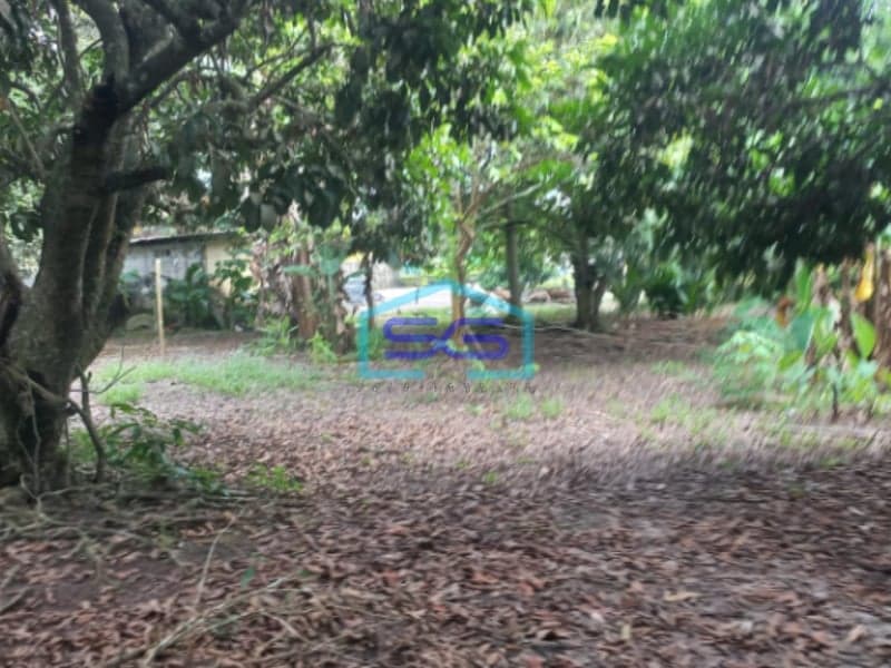 Dijual Tanah di Kabupaten Ogan Ilir Indralaya Sumatera Selatan LT 40.000m2