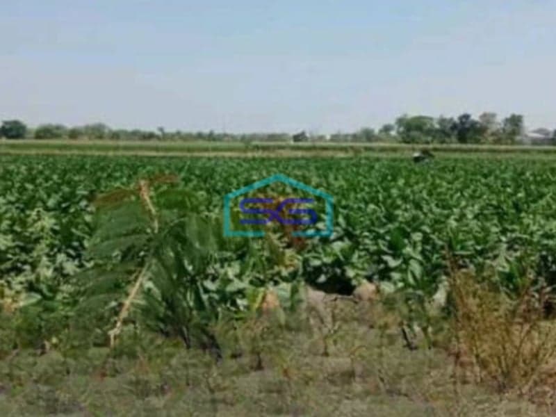 Dijual Tanah Zona Industri Lokasi Klaten Luas 12 Ha Strategis