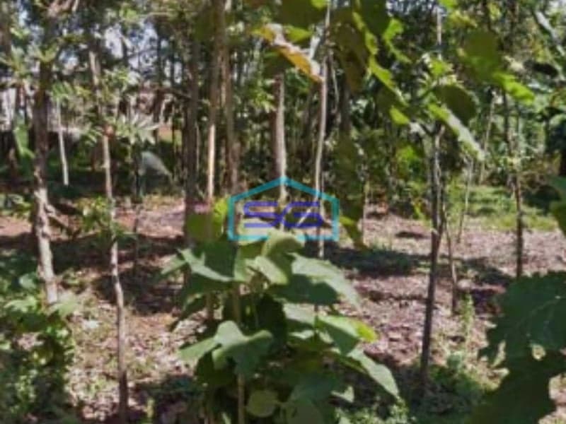 Dijual Lahan Tanah Zona Industri Lokasi Mayong Jepara Jawa Tengah Luas 30000m2