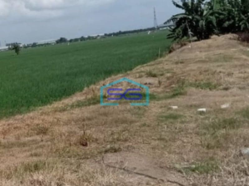 Dijual Tanah Lokasi Bebas Banjir di Cikarang Timur Luas 1460000 m²