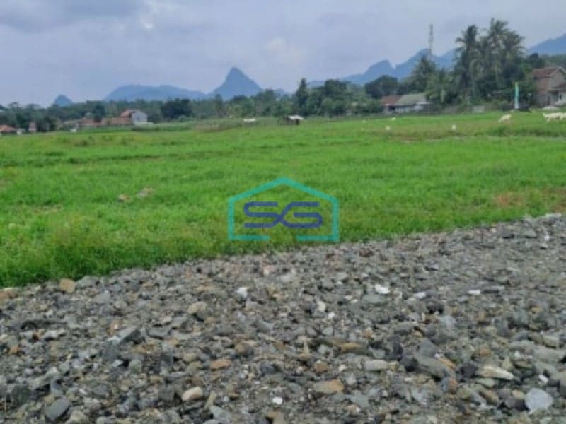 Dijual Tanah di Daerah Cariu Tanjungsari Bogor Timur LT 15000m2