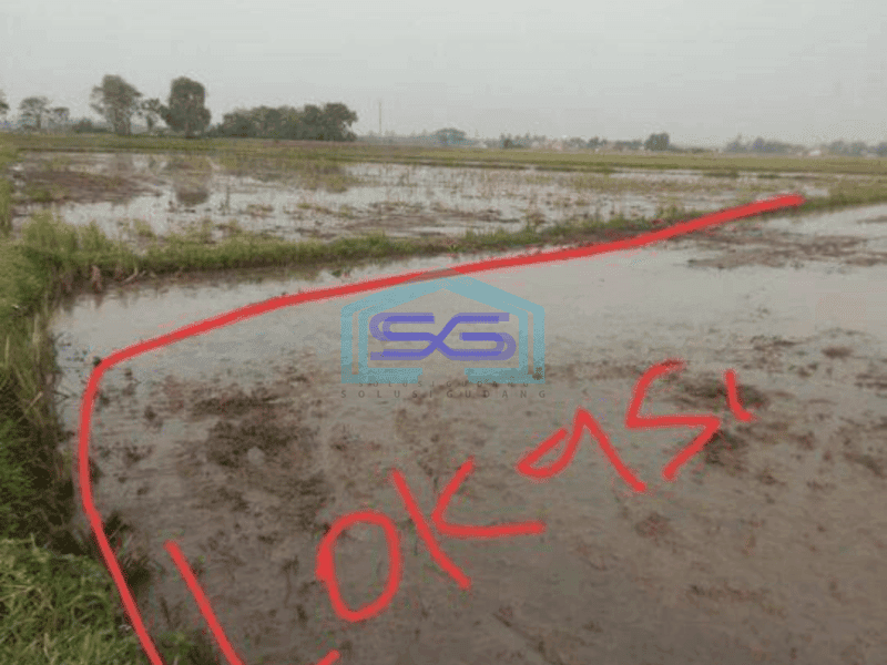 Dijual Tanah Untuk Gudang di Kawasan Rajeg Tangerang