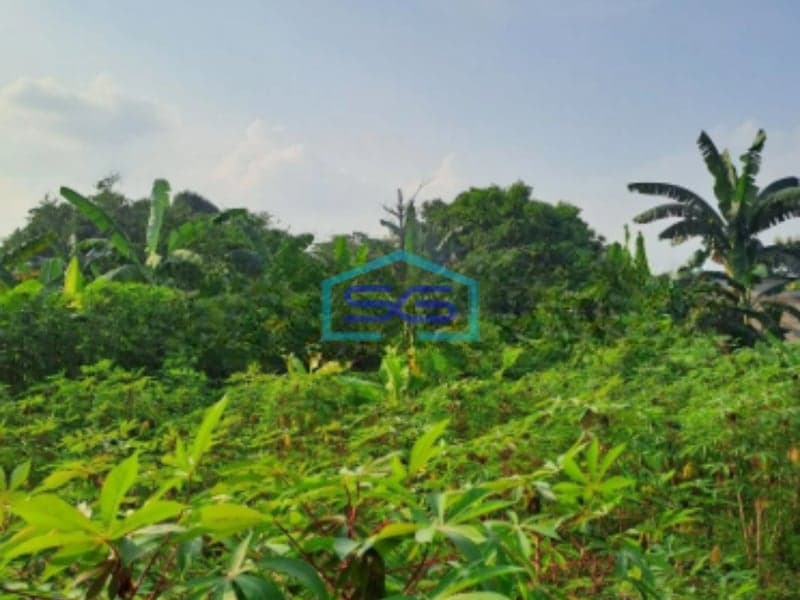 Dijual Tanah di Desa Sentul Kawasan Industri Babakan Madang Bogor LT 1500m2