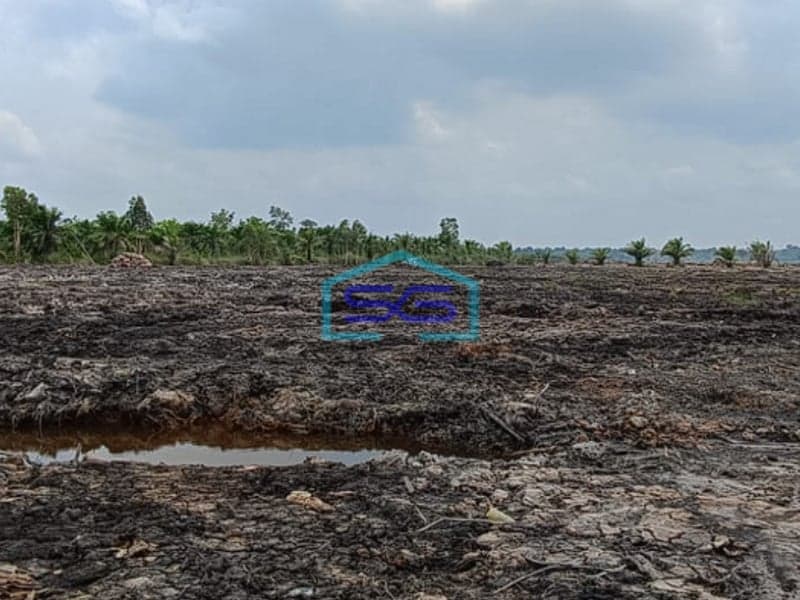 Dijual Lahan Tanah Luas Eks Kebun Sawit di Pangkalan Benteng Banyuasin Sumatera Selatan LT 16000m2