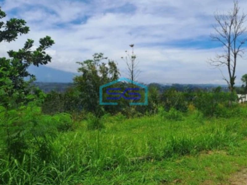 Dijual Tanah Sangat Bagus Di Desa Pasir Angin Bogor Luas Tanah 10200m2