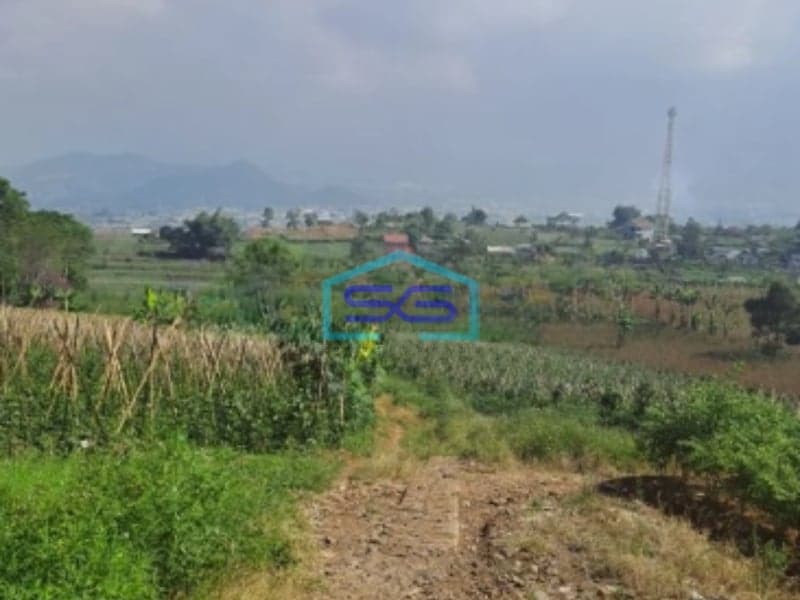 Dijual Tanah Lahan Bagus Sukaresmi Cianjur Luas Tanah 220000m2