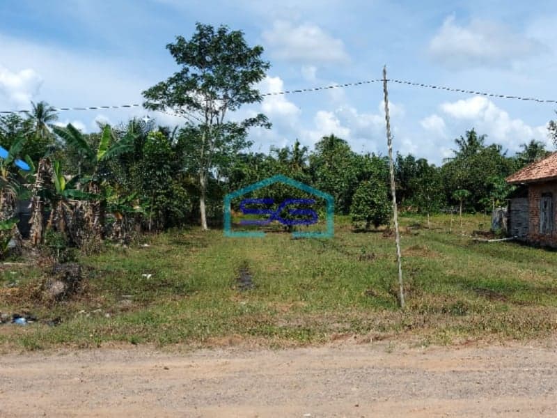 Dijual Tanah Bonus Bangunan di Jalan Tanjung Lago Kawasan KTM Telang Parit 17 Banyuasin Sumatera Selatan