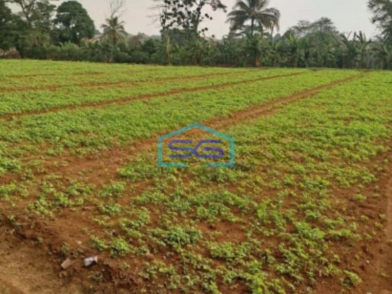 Dijual Tanah Di Bojong Kopasus Kemang Bogor Luas 4500m2