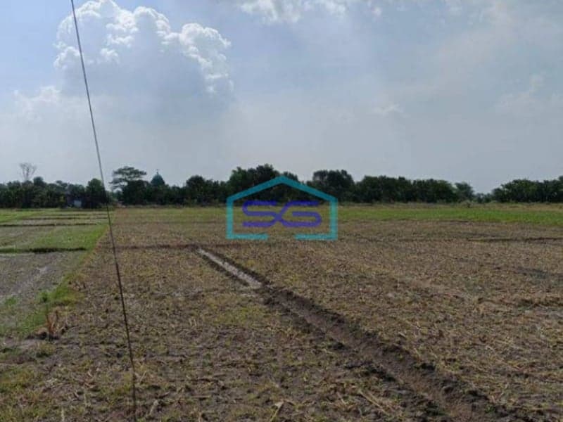 Dijual Cepat Tanah Jalan Raya Gending Probolinggo LT 24000m2