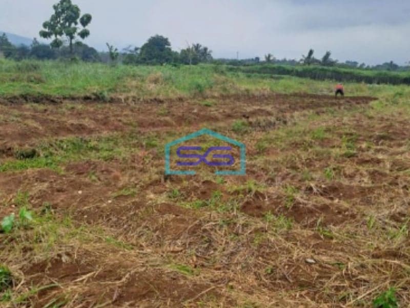 Dijual Tanah di Ci Bening Pamijahan Bogor Luas Tanah 72000m2