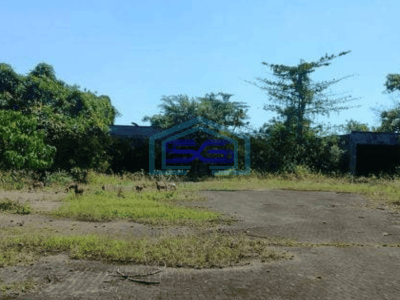 Dijual Tanah industri untuk gudang di Pattene, luas 4,3 Hektar