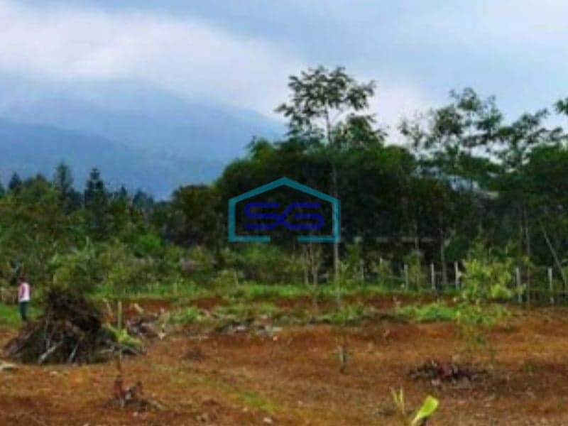 Dijual Tanah Kavling Siap Bangun di Ciapus Tamansari Bogor LT 2000m2