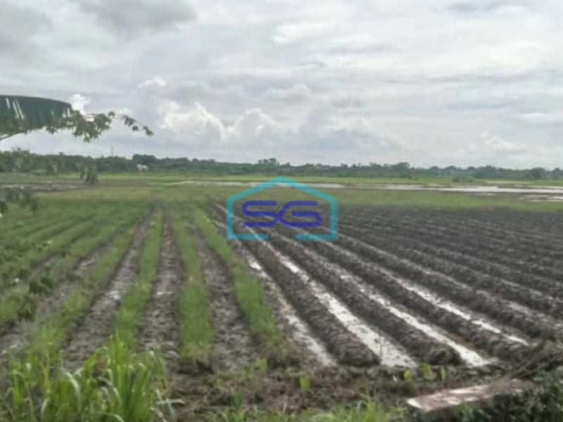 Dijual Tanah Sawah Di Desa Kelebet Kec. Kemiri Kab. Tangerang Luas Tanah  200000 m²