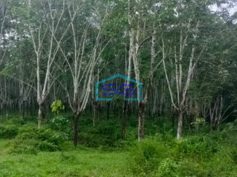 Dijual Lahan Tanah di Jalan Padat Karya Talang Buluh Palembang Luas 48000m2