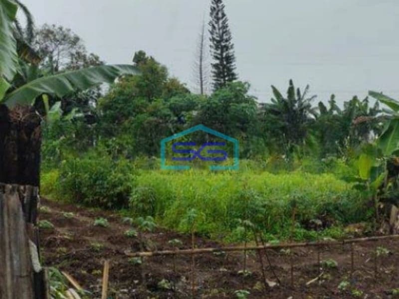 Dijual Tanah di Jampang Kec Kemang Bogor Seluas 12.5 Hektar Dipinggir Jalan Raya Ismed