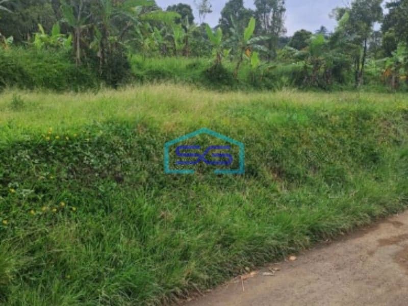 Dijual Tanah Lokasi Di Cijeruk Bogor Jawa Barat LT 20000m2